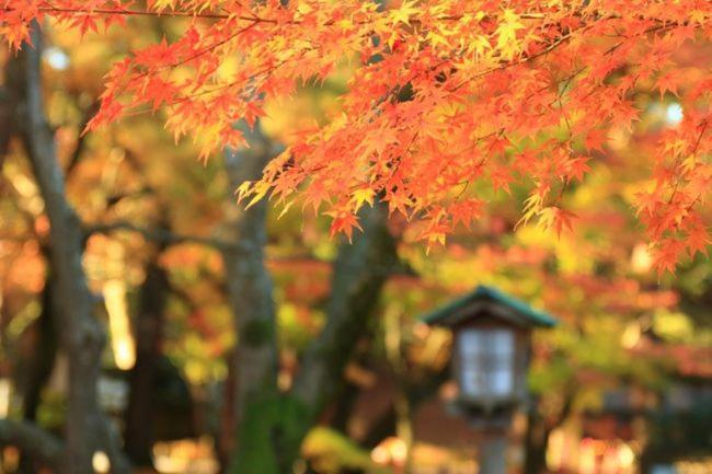 Kanazawa Machiya Inn Hana Extérieur photo